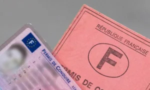 Telefonieren während der Fahrt: In bestimmten Dienststellen gilt ein sofortiger Führerscheinentzug