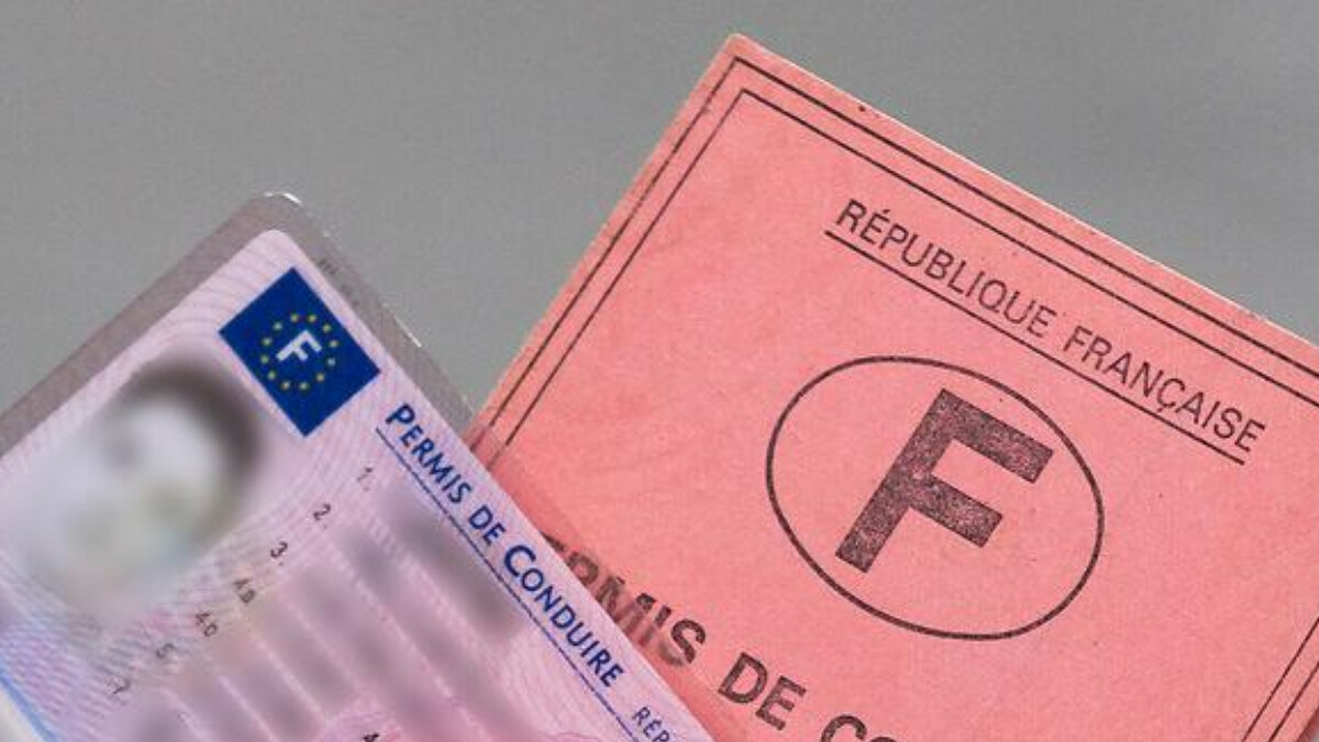 Telefonieren während der Fahrt: In bestimmten Dienststellen gilt ein sofortiger Führerscheinentzug