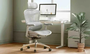 Sihoo Doro C300: der Stuhl zur Vermeidung von Rückenschmerzen und anderen Muskelverspannungen