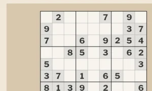 Sudoku: vom mathematischen Rätsel zum täglichen Ritual