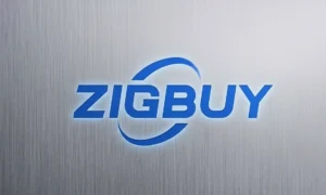 Zigbuy: der neue High-Tech-E-Commerce-Benchmark in Europa