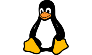 CIFSwitch: der 19 Jahre alte Linux-Fehler, der volle Leistung bietet