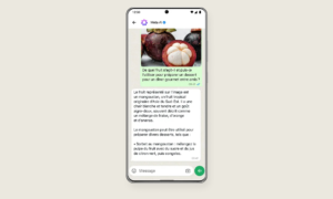WhatsApp: EU schreibt freien Zugang für Meta-KI-Konkurrenten vor
