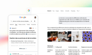 Die Google-Suchmaschine macht in Frankreich ihre KI-Revolution