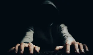 Die Regierung setzt angesichts massiver Steuerhackereien einen digitalen Schutzschild ein