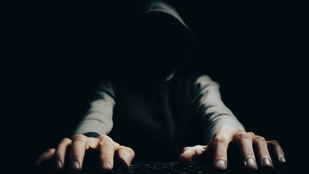 Die Regierung setzt angesichts massiver Steuerhackereien einen digitalen Schutzschild ein