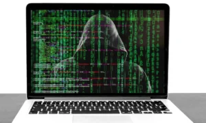 Ein Netzwerk von 700 Betrügern, die monatlich 100 Millionen erwirtschaften, wurde zerschlagen