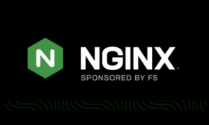 Kritischer NGINX-Fehler macht Millionen von Servern 15 Jahre lang gefährdet