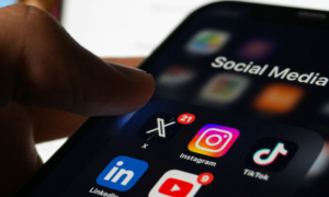 LFI greift das Gesetz zur digitalen Mehrheit vor dem Verfassungsrat an