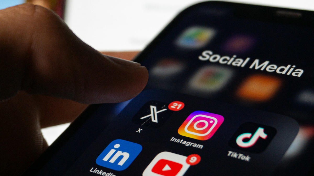 LFI greift das Gesetz zur digitalen Mehrheit vor dem Verfassungsrat an