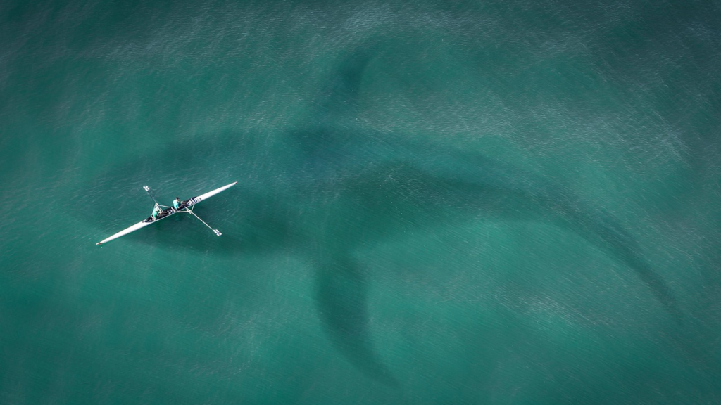 Megalodon: Mehrere tausend GitHub-Repositories in wenigen Stunden infiziert