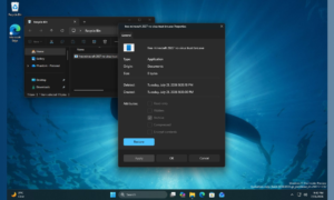 Windows 11: Das Eigenschaftenfenster wird endlich anständig