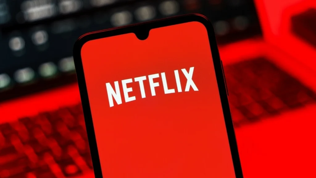 Account-Sharing: Druck von zwei Abgeordneten auf Streaming-Plattformen