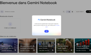 Gemini Notebook bereitet mit seinen Nutzungsbeschränkungen Kopfschmerzen