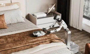 Ist obsessives Management das Geheimnis der kostengünstigen Roboter von Unitree?