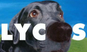 Lycos kehrt unerwartet in die französische Digitalszene zurück