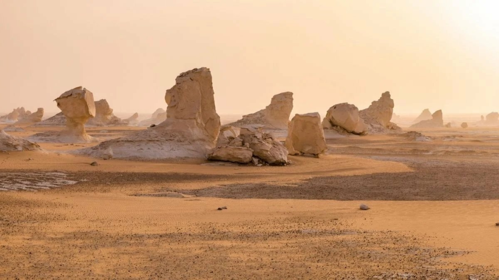 War die Sahara ein tropischer Ozean, in dem Haie lebten?