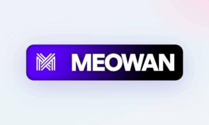 Meowan kommt im Orange-Netzwerk: echtes Juwel oder überteuertes Angebot?