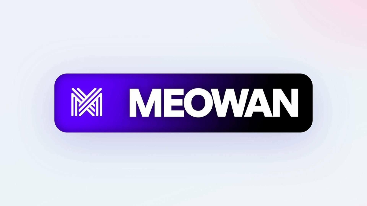 Meowan kommt im Orange-Netzwerk: echtes Juwel oder überteuertes Angebot?