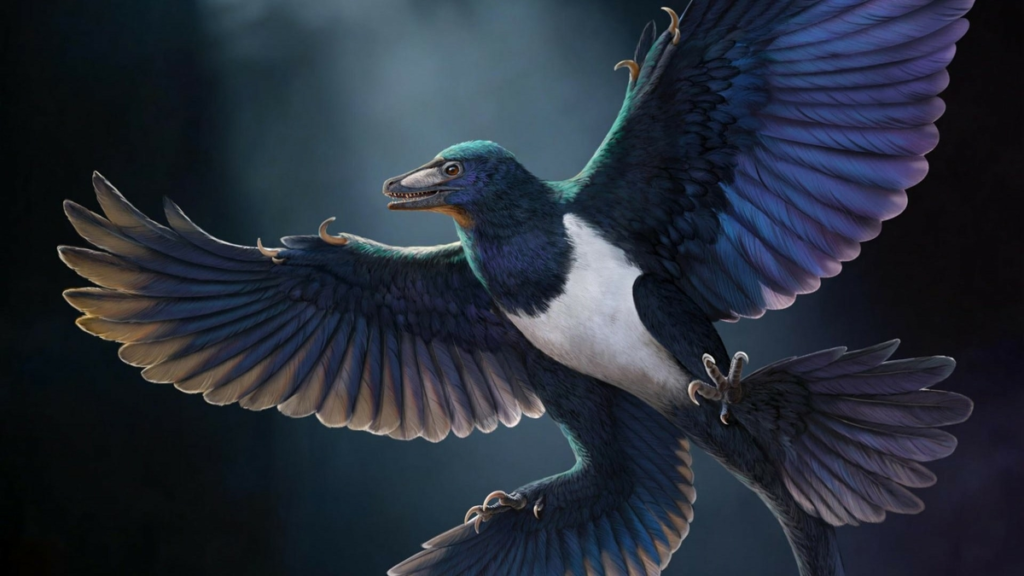 China: Entdeckung einer neuen Art gefiederter Dinosaurier