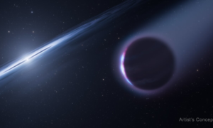 Ein aus der Asche seines Sterns geborener Planet wurde entdeckt