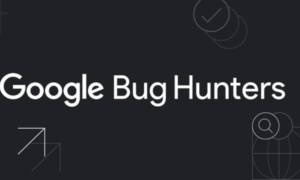 Google ist von der KI überwältigt und stellt seine Open-Source-Bug-Bounty ein