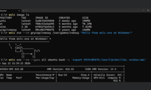Windows öffnet sich endlich für native Linux-Container mit WSL-Containern