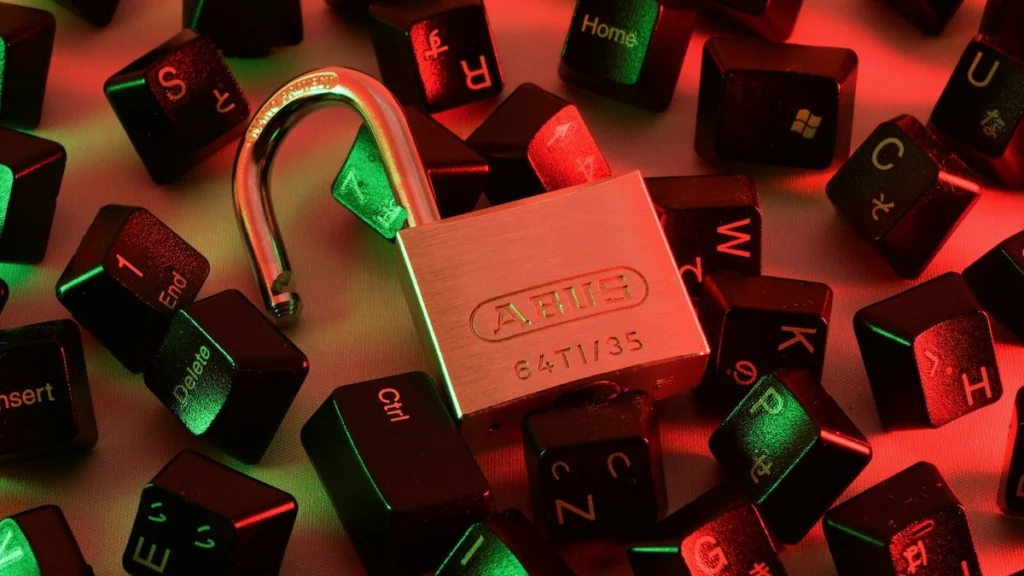 „Google hat Daten gestohlen“: Regierung sagt Piratensuchmaschine den Kampf an