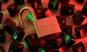 „Google hat Daten gestohlen“: Regierung sagt Piratensuchmaschine den Kampf an